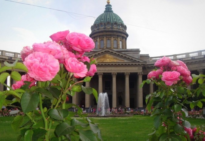 С 2008 года в городе начали активно сажать кустовые розы. Теперь миллион этих роскошных и благородных цветов украшает улицы и площади Петербурга.