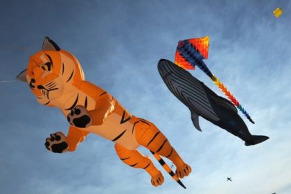 Около 150 воздушных змеев поднимутся в небо. Среди них можно будет наблюдать самые разные гигантские фигуры, среди которых тигры, рыбы, медведи, самолеты и многие другие. Фестиваль посетят мастера из Германии, Франции, Великобритании и Новой Зеландии.