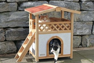 Уже к концу года во многих петербургских дворах появятся специальные уютные домики для обогрева уличных котов и кошек. Они будут оборудованы когтеточками, лотками, местом для еды и прочими кошачьими радостями.