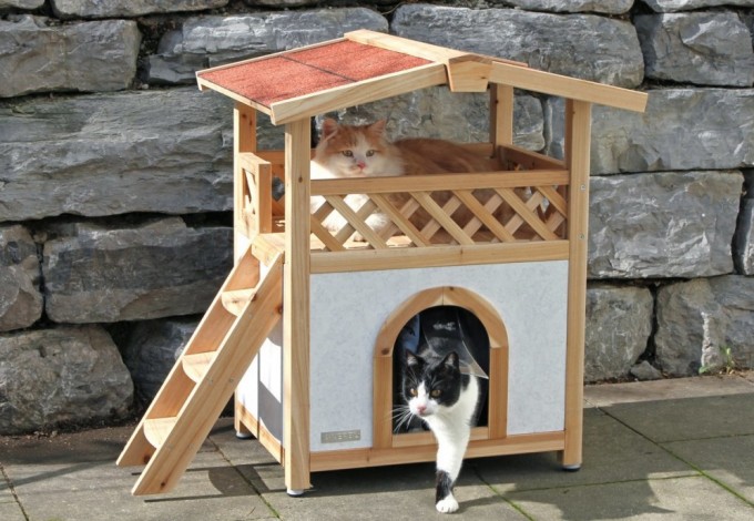 Уже к концу года во многих петербургских дворах появятся специальные уютные домики для обогрева уличных котов и кошек. Они будут оборудованы когтеточками, лотками, местом для еды и прочими кошачьими радостями.