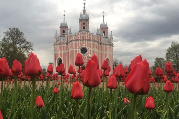 На улицах Северной столицы стало по-летнему красочно. Огромные клумбы с цветами появились в Адмиралтейском, Центральном, Василеостровском, Фрунзенском и других районах Петербурга. Так город украшают к 317-летней годовщине.