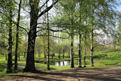 Запрет на посещение парков в Петербурге продлили до 14 июня. Несмотря на просьбы жителей, большинство парковых зон города остаются закрытыми. Тем не менее, есть несколько зелёных территорий, которых не коснулись ограничения, и где можно отдохнуть на свежем воздухе.