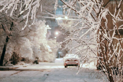 В Северной столице, в ночь с 31 на 1 января синоптики обещают снегопад, а также магнитную бурю, при этом будет плюсовая температура от 0 до +2 градусов.