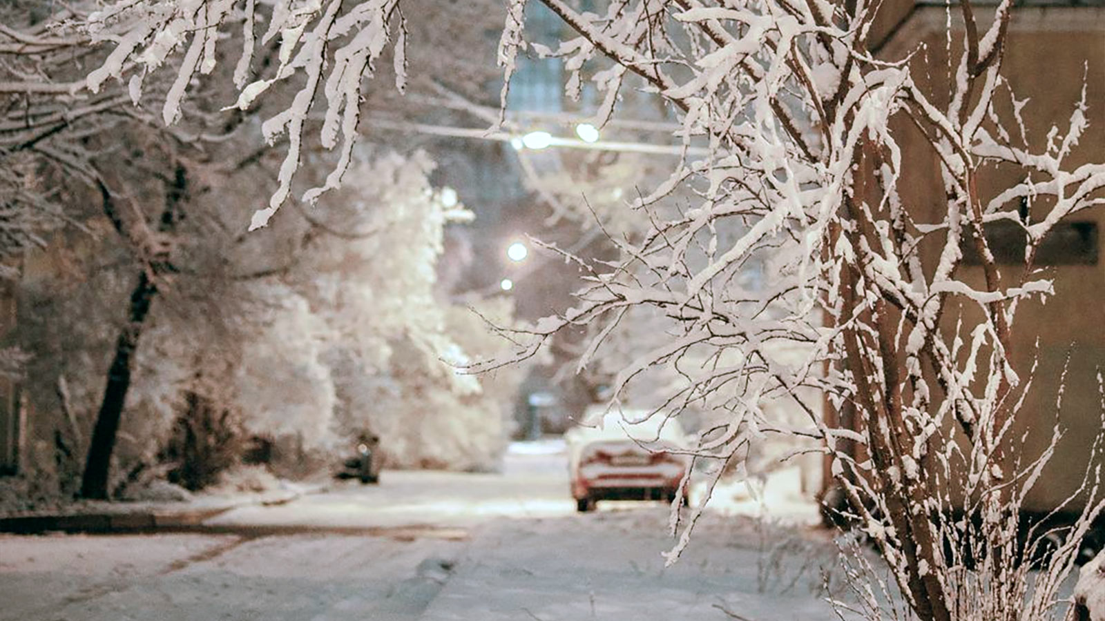В Северной столице, в ночь с 31 на 1 января синоптики обещают снегопад, а также магнитную бурю, при этом будет плюсовая температура от 0 до +2 градусов.